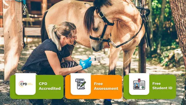  Horse Care Online Training