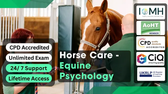 Horse Care - Equine Psychology
