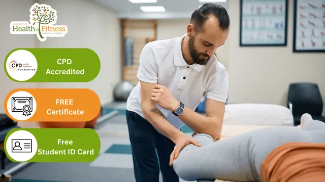 Level 3 Certificate In Sports Massage Therapy - CPD Certified 