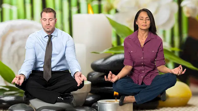 Zen Lifestyle Online Training