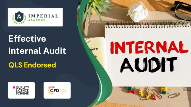 Effective Internal Audit Strategies for Businesses