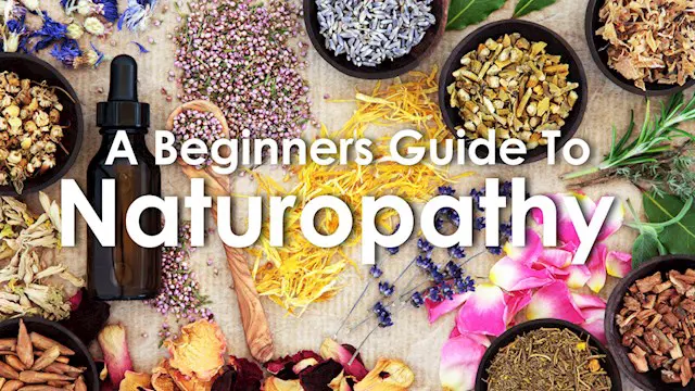 Accredited Foundation Naturopathy Diploma Course