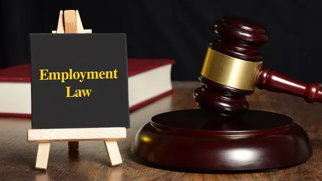 Employment Law Diploma