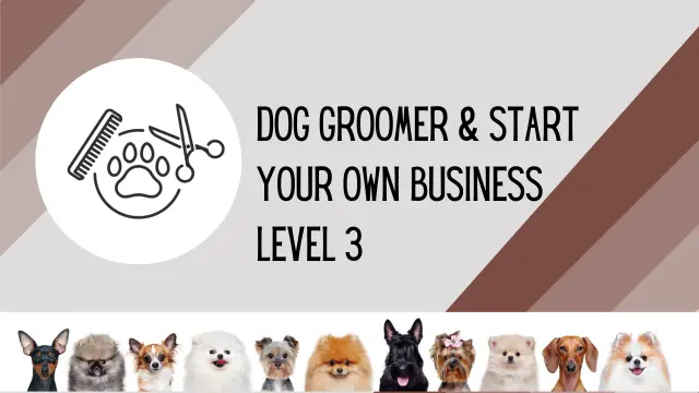 Dog Groomer & Start Your Own Business Level 3
