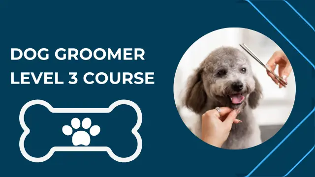 Dog Groomer Level 3 Course