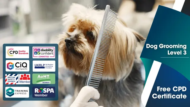 Dog Grooming Level 3 - CPD Accredited