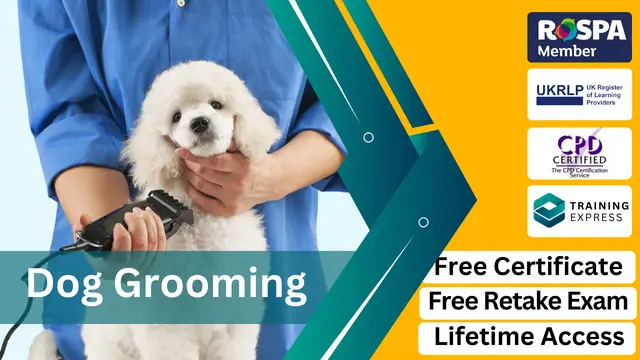 Dog Grooming Level 3 - CPD Certified