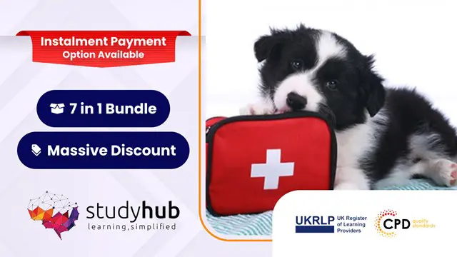 Dog First Aid Diploma- CPD Certified