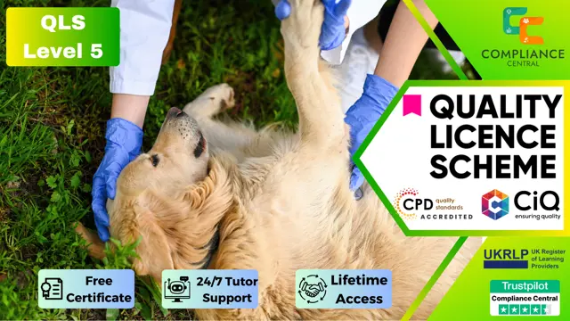 Pet First Aid (Dog First Aid): Dog Care and Dog Grooming Training