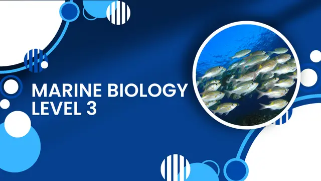 Marine Biology Level 3