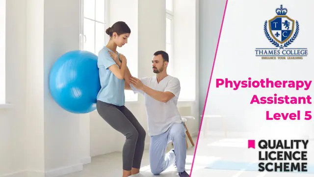Physiotherapy Assistant