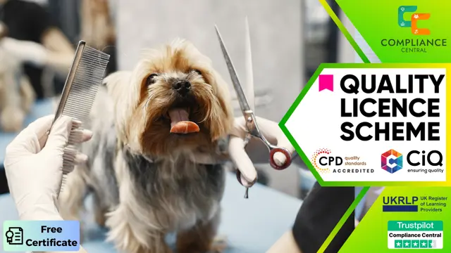 Dog Grooming - CPD Accredited