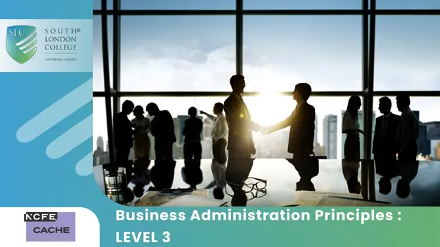 Business Administration Principles : LEVEL 3
