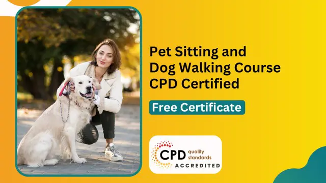 Pet Sitting and Dog Walking Course – CPD Certified