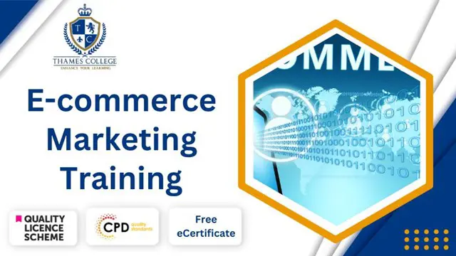Ecommerce Marketing Training