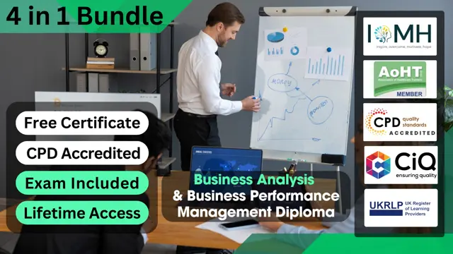 Business Analysis & Business Performance Management Diploma