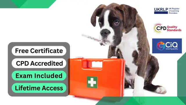 Pet First Aid Certificate - CPD Certified