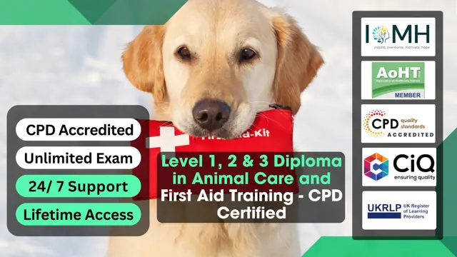 Level 1, 2 & 3 Diploma in Animal Care and First Aid Training - CPD Certified