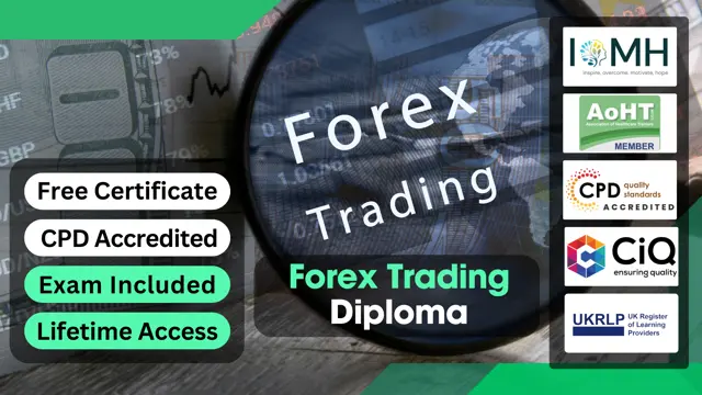 Forex Trading Diploma