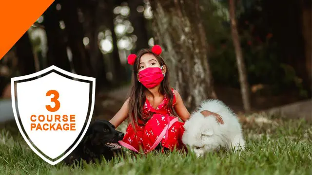 Child Safeguarding Diploma Training Essentials