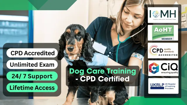 Dog Care Training - CPD Certified