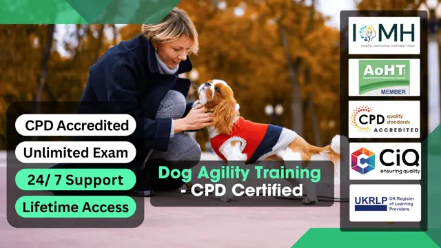 Dog Agility Training - CPD Certified