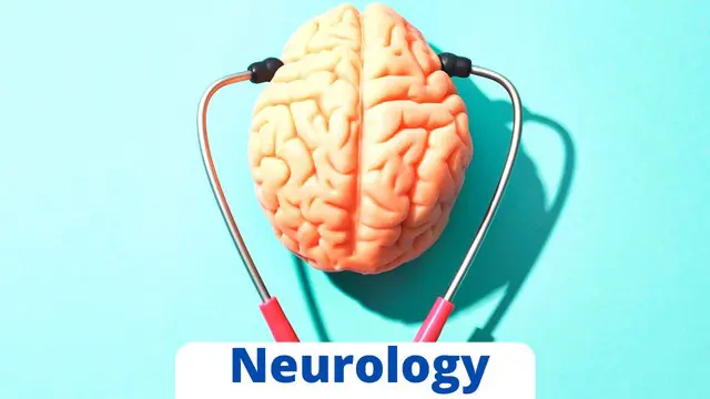 Neurology Training Course