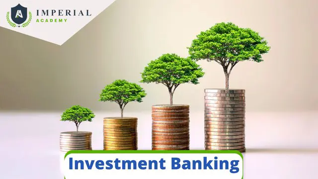 Investment Banking Course