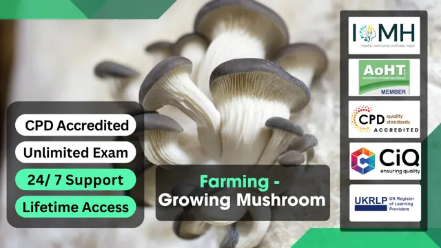 Farming - Growing Mushroom