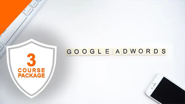 Google Ads Diploma Level 3 Training