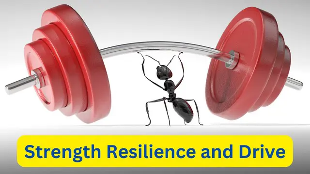 Strength Resilience and Drive