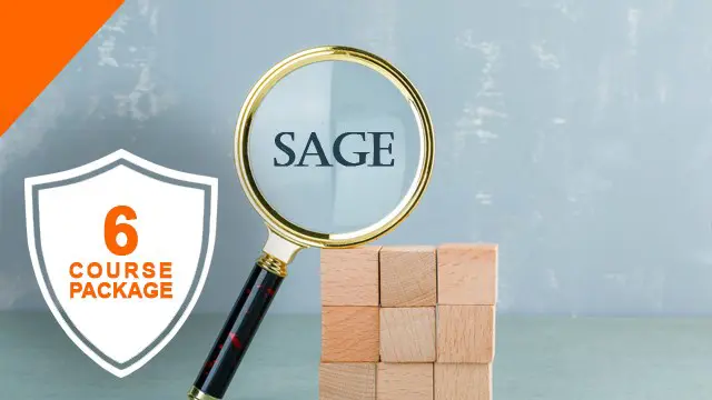 Sage Diploma Level 3 Training Essentials