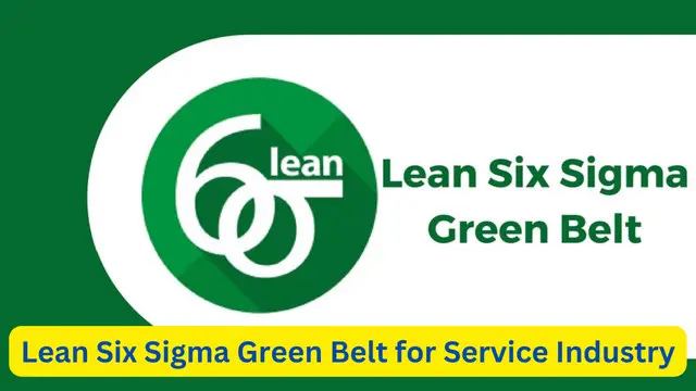 Six Sigma - Lean Six Sigma Green Belt for Service Industry Professionals