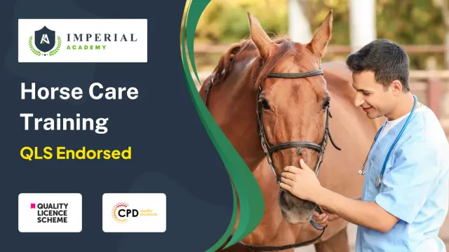 Horse Care Training (QLS)