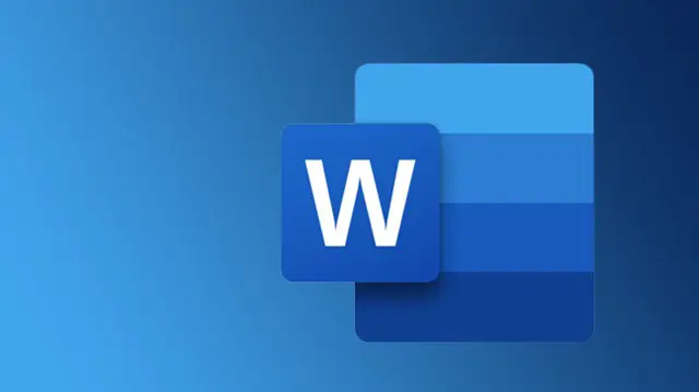 Microsoft Word (MS Word)