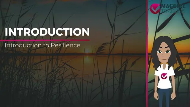 Introduction to Resilience
