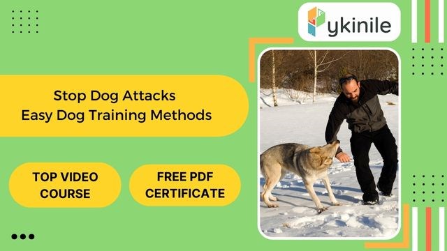 Online Dog Training Courses 