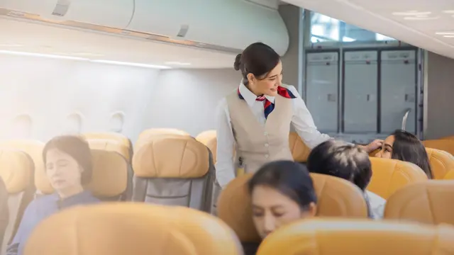 Flight Attendant and Cabin Crew Training - CPD Certified