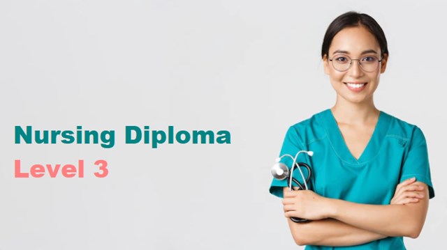 online nursing diploma courses