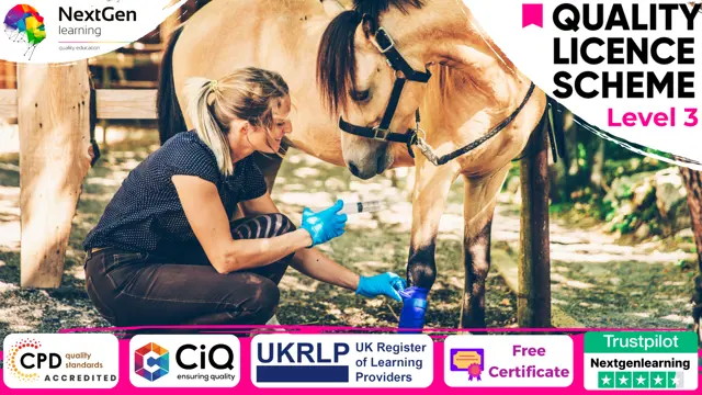 Animal Care and First Aid Training - CPD Certified
