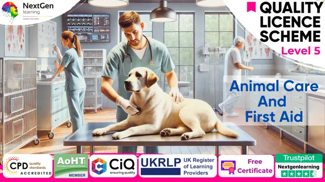 Animal Care and First Aid Training - CPD Certified