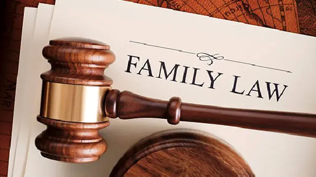 Family Law Mastery: Your Ultimate Online Guide