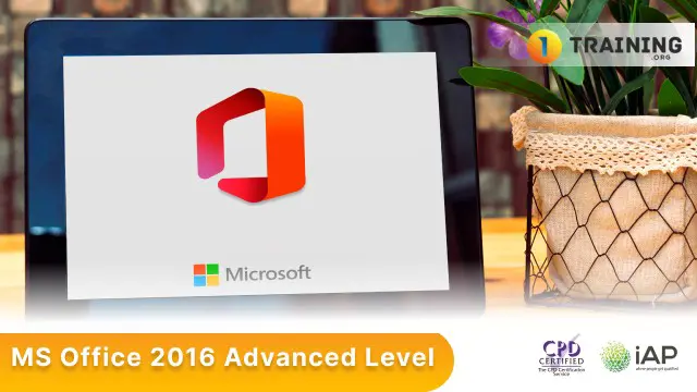 MS Office 2016 Advanced Level