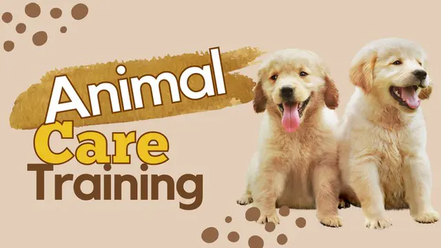 Animal Care (Animal Health & First Aid for Animals)