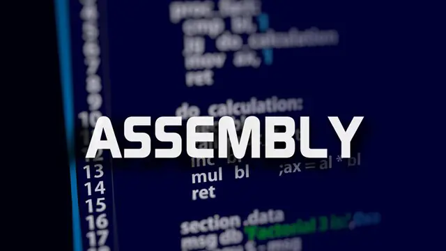 Programming with Assembly Language