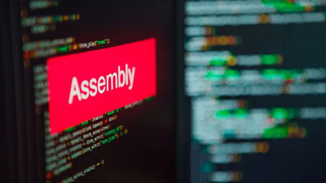 Programming : Assembly Programming Language