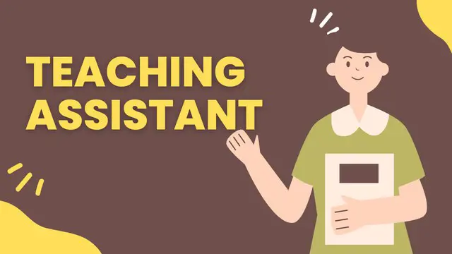 Teaching Assistant Diploma Level 2 & 3 - CPD Certified