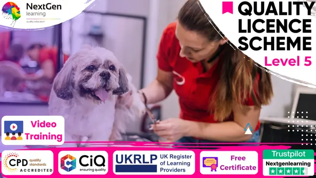 Dog Grooming + Dog First Aid - CPD Certified 