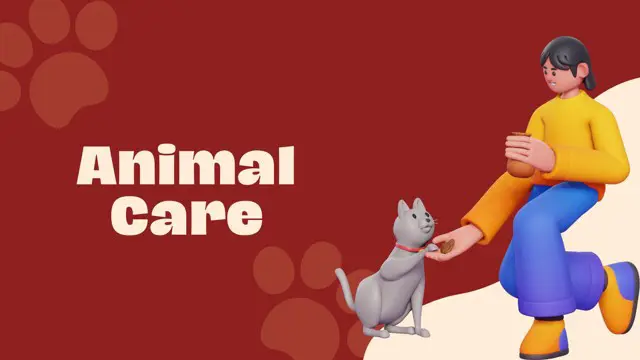 Level 3 Diploma in Animal Care - CPD Certified
