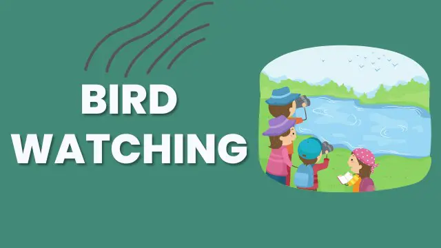 Bird Watching Training